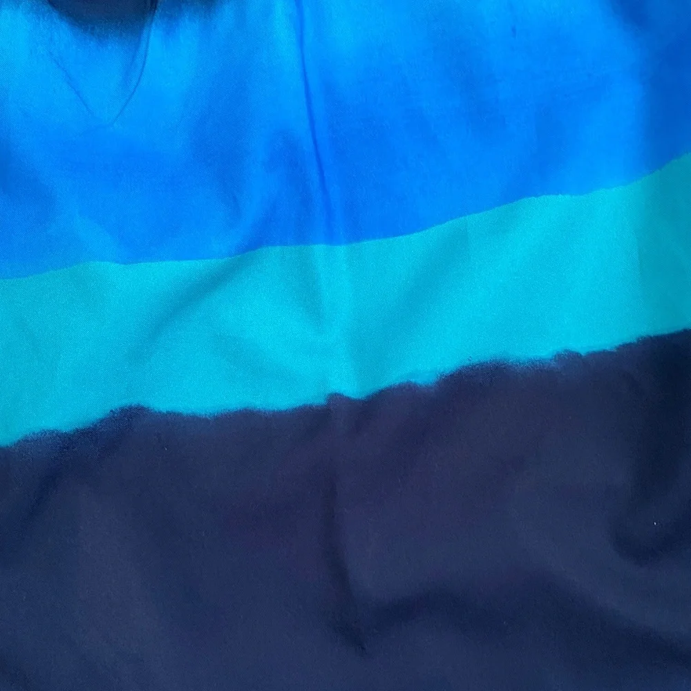 Speedo Men's Swimm Shorts in Blue and Black